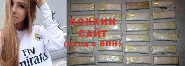 jwh Белокуриха