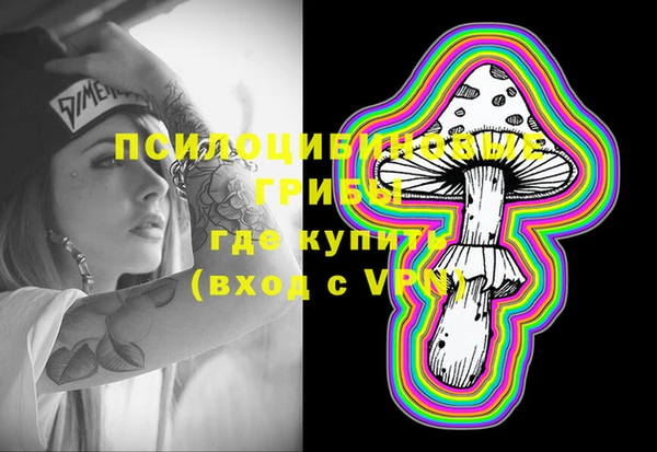 jwh Белокуриха