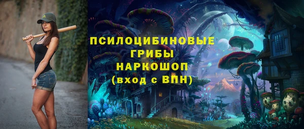 jwh Белокуриха
