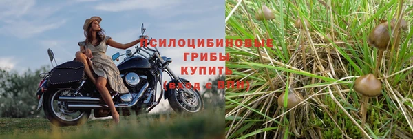 jwh Белокуриха