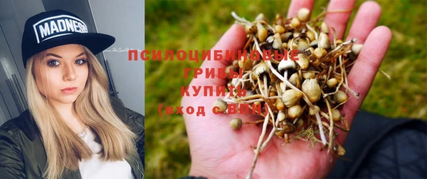 крисы Беломорск